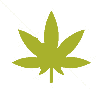 Marijuana Weed Pot 